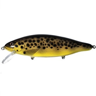 Trout